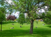 festa al parco pubblico