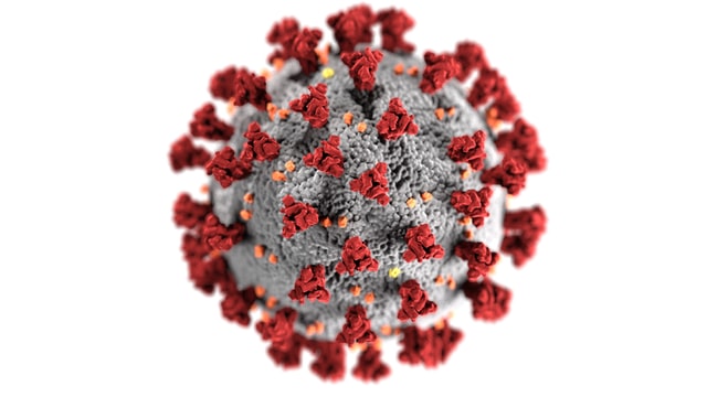 Feste e corona virus
