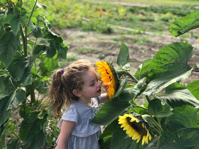 Feste per bambini all'orto botanico