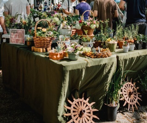 Buffet per festa a tema pic-nic